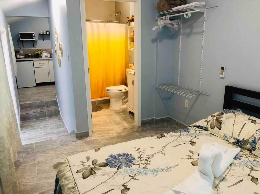 New Luxurious Studio Private In The Heart Of Miami Exteriér fotografie