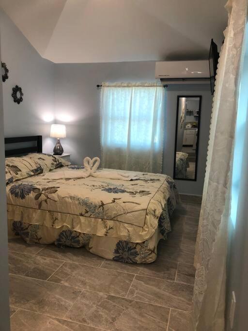New Luxurious Studio Private In The Heart Of Miami Exteriér fotografie